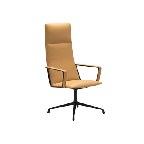 CAPRI EXECUTIV