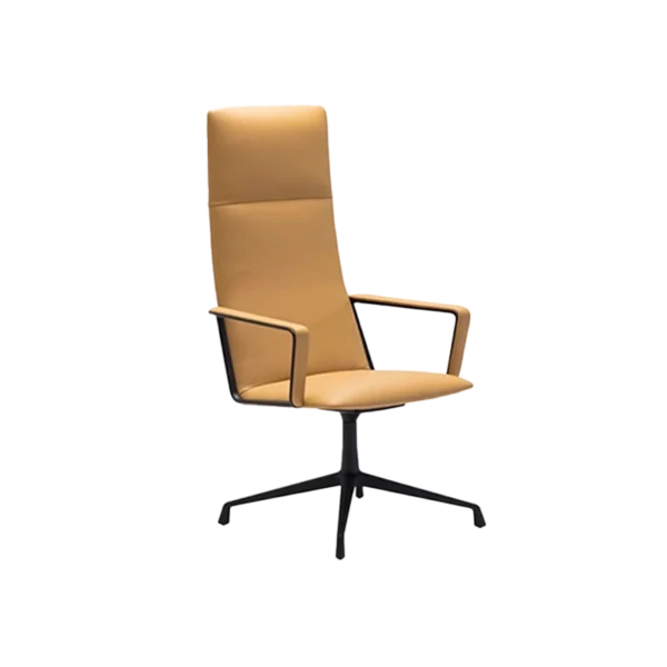 CAPRI EXECUTIV