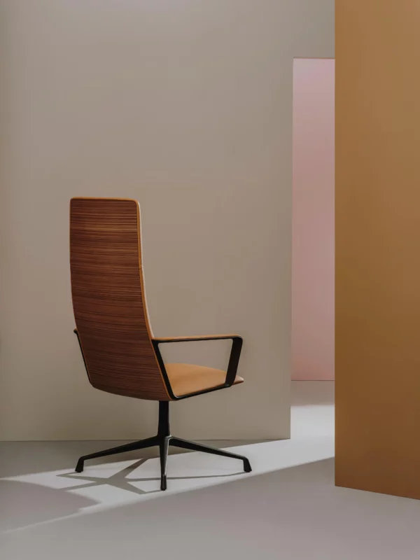 CAPRI EXECUTIV – Image 2