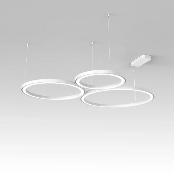 RIPPLE – Image 4