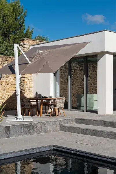 Parasol Boree – Image 2