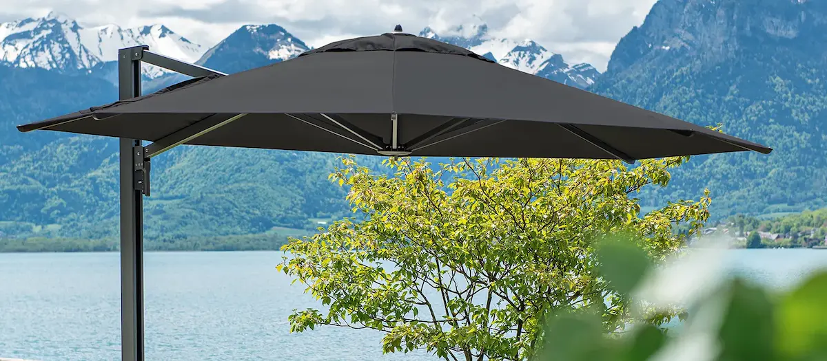 Parasol Boree – Image 3